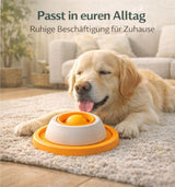 CalmLick – Das beruhigende Leckspielzeug für entspannte Hunde